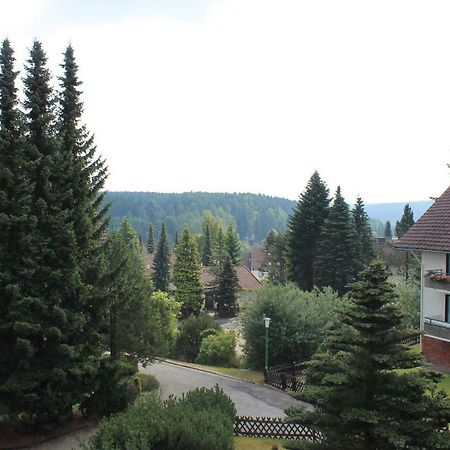 Ferienwohnungen Lübbers Braunlage Exterior foto